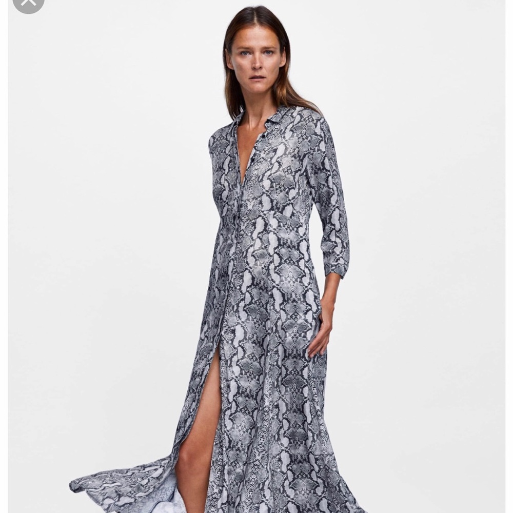 Snake skin button down dress from Zara